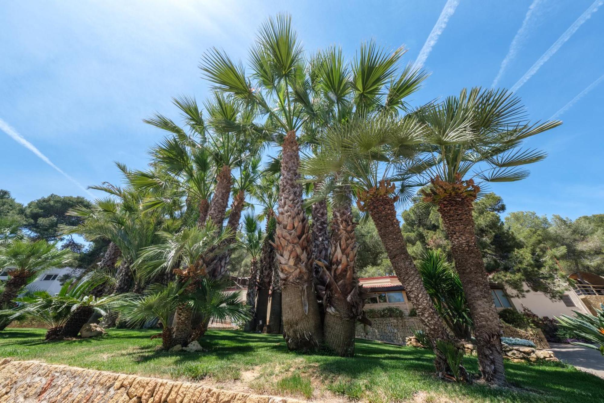 Camping Estival Torre De La Mora Tamarit Εξωτερικό φωτογραφία